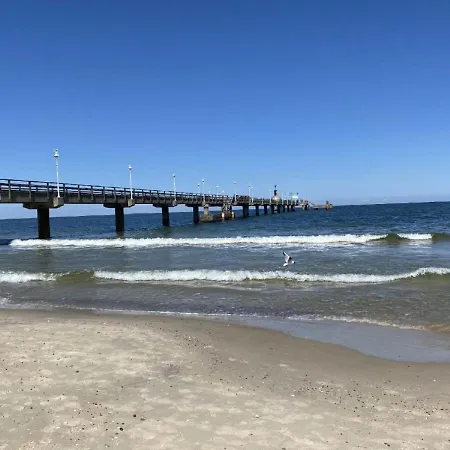 Marin, 10 ツィノヴィッツ